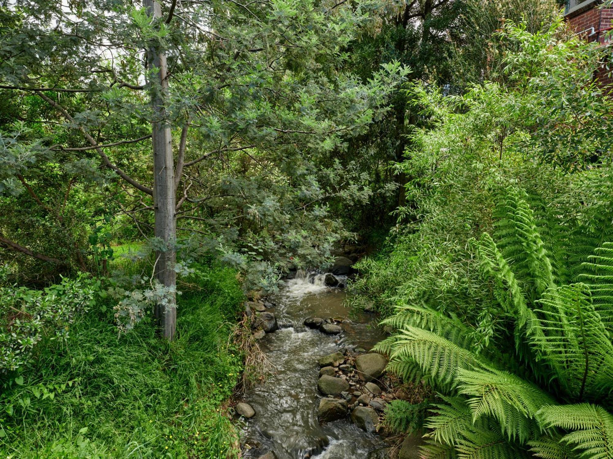 Comfort In Sandy Bay Next To The Rivulet Apartment Exterior photo